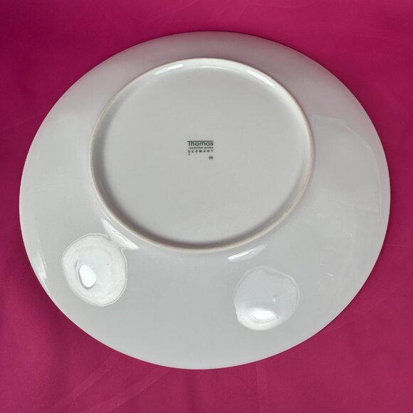 Set of 2 Thomas Rosenthal Germany dinner plates - Picture 3 of 4